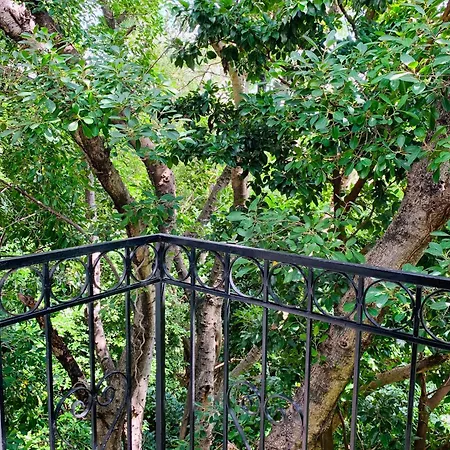 Villa Antilope-3