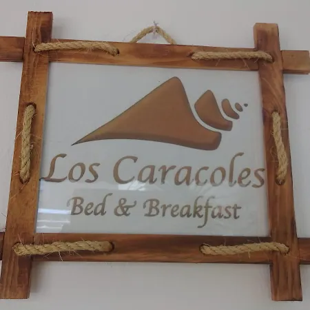 Los Caracoles Bed & Breakfast-3