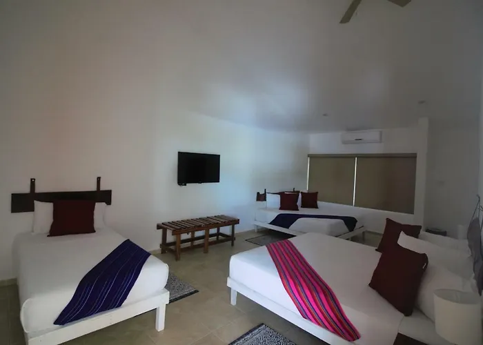 White House 10 Orchids